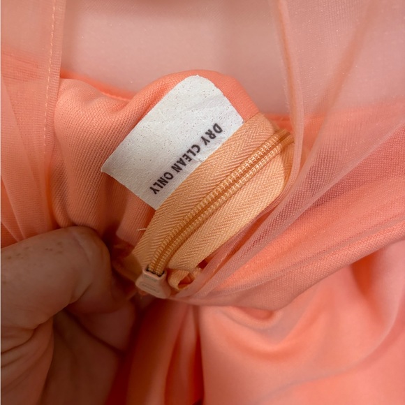 Vintage A-line Dress with Sheer Panel and Rosette - Picture 7 of 8